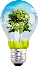 Clean Energy